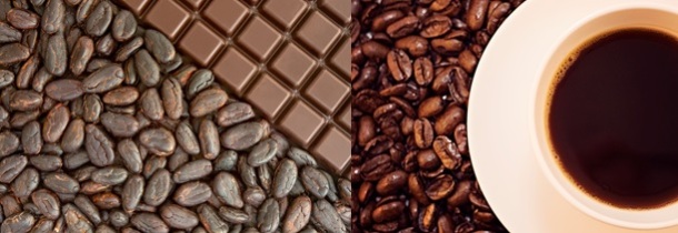 Figure 2: Chocolate (left) is made from Theobroma cacao, or cacao plant seeds and contains theobromine (PC: Nic Charalambous). Coffee (right) is made from Coffea Arabica, or coffee beans, and seeds and contains caffeine (Photo credit: JIhopgood/Flickr). 