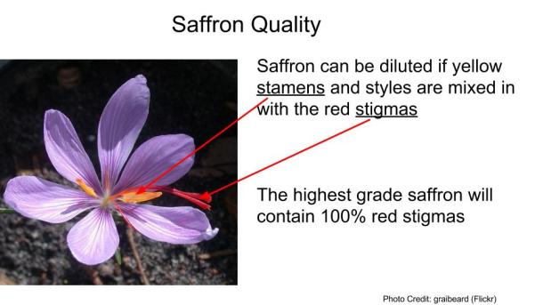 s+f saffron post